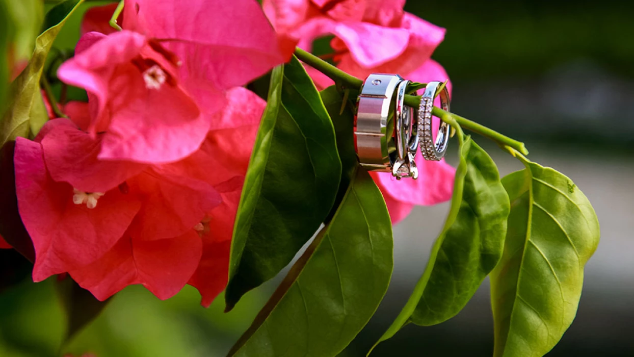 Wedding bands in a flower