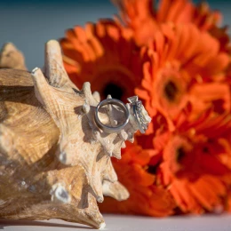 Wedding bands on a shell close-up.