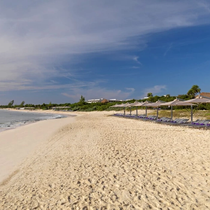 Paradisus La Perla beach with lounge chairs