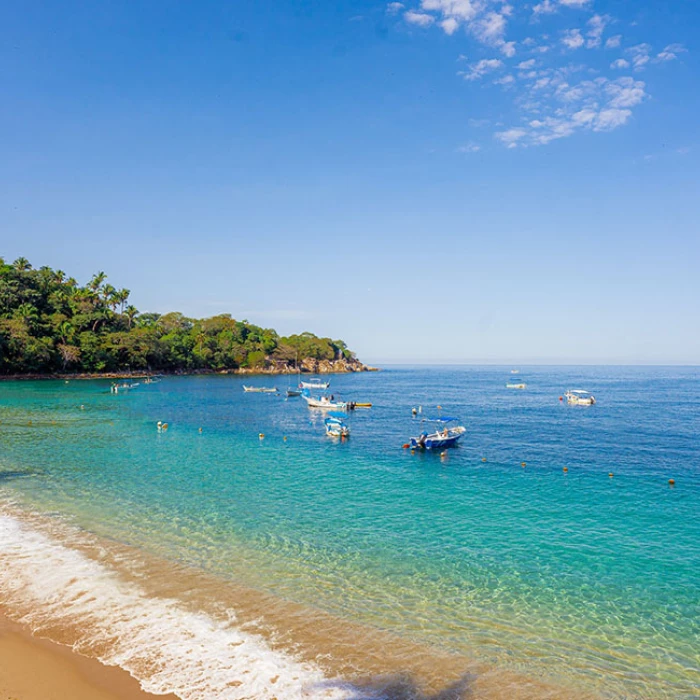 Barcelo Puerto Vallarta Beach