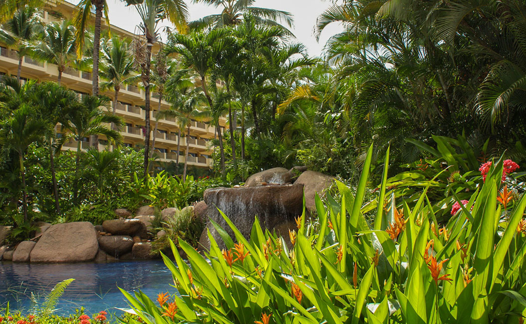 Barcelo Puerto Vallarta resort gardens and pool.