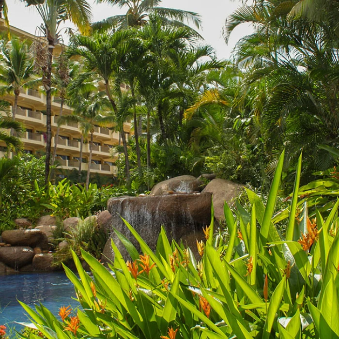 Barcelo Puerto Vallarta resort gardens and pool.