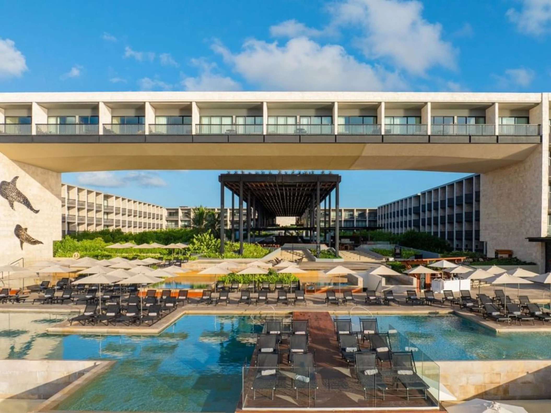 pool and loungers at Devossion by Live Aqua Playa del Carmen