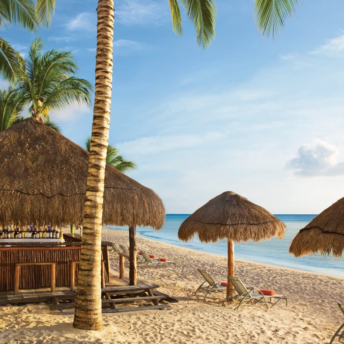 Sugar reef beach bar at Dreams Cozumel Resort.