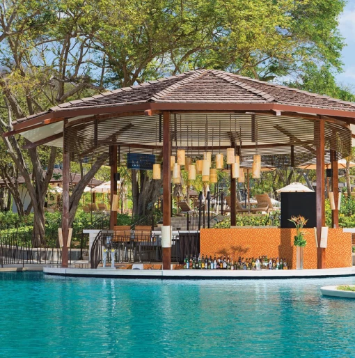 manatees swim up bar at Dreams Las Mareas