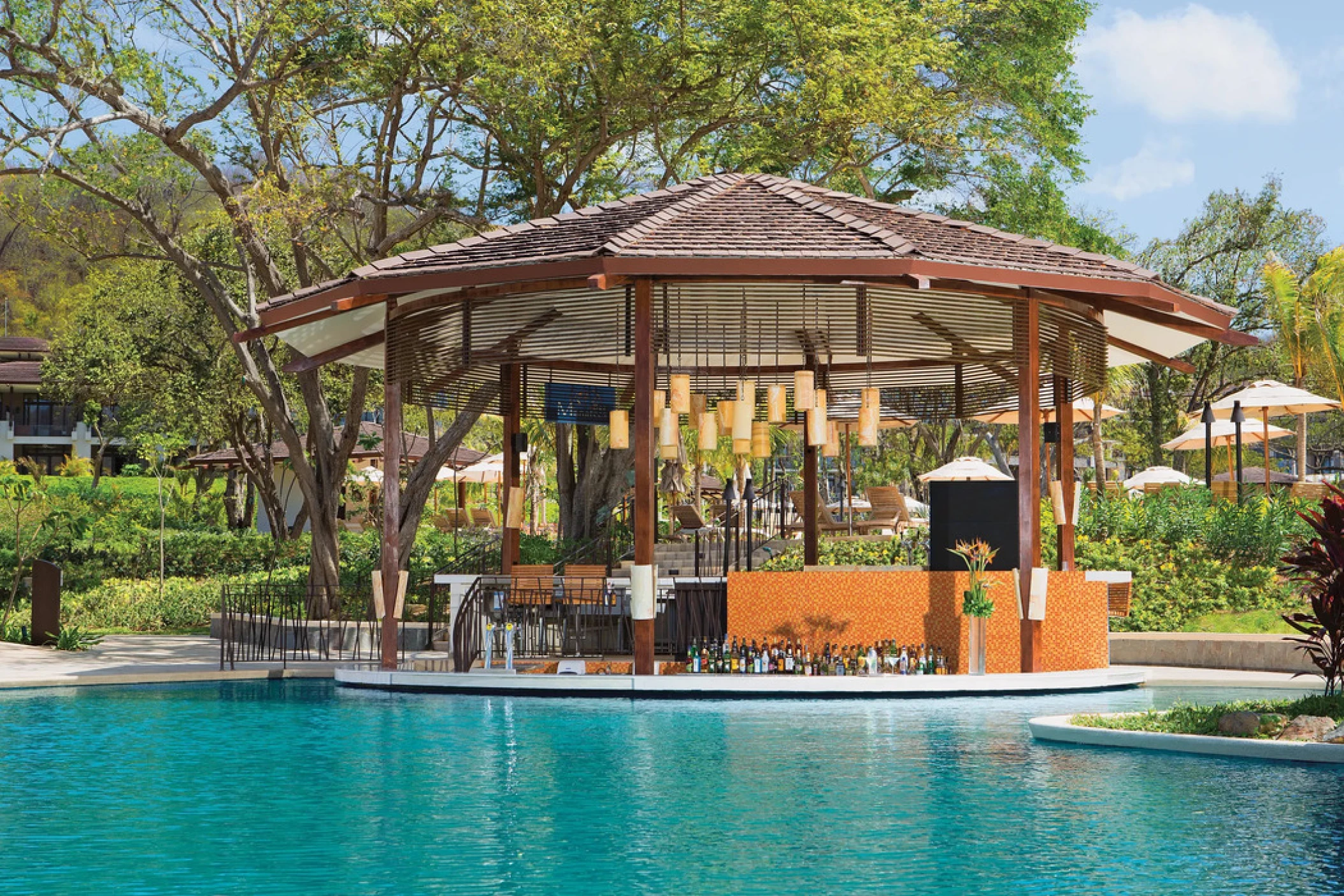 manatees swim up bar at Dreams Las Mareas