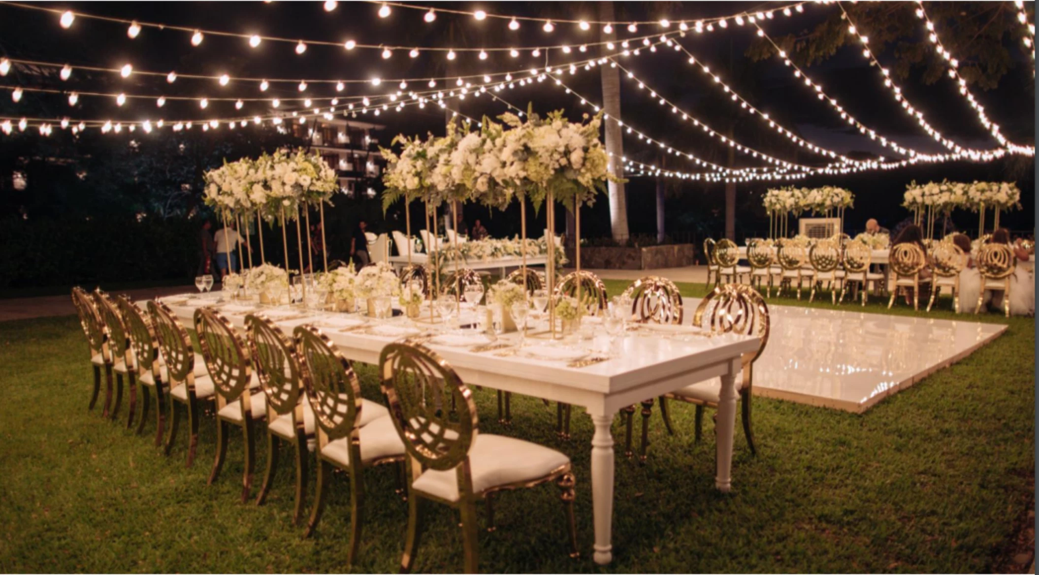 royal palm tree terrace at Dreams Las Mareas