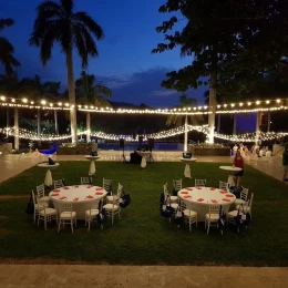 royal palm tree terrace at Dreams Las Mareas