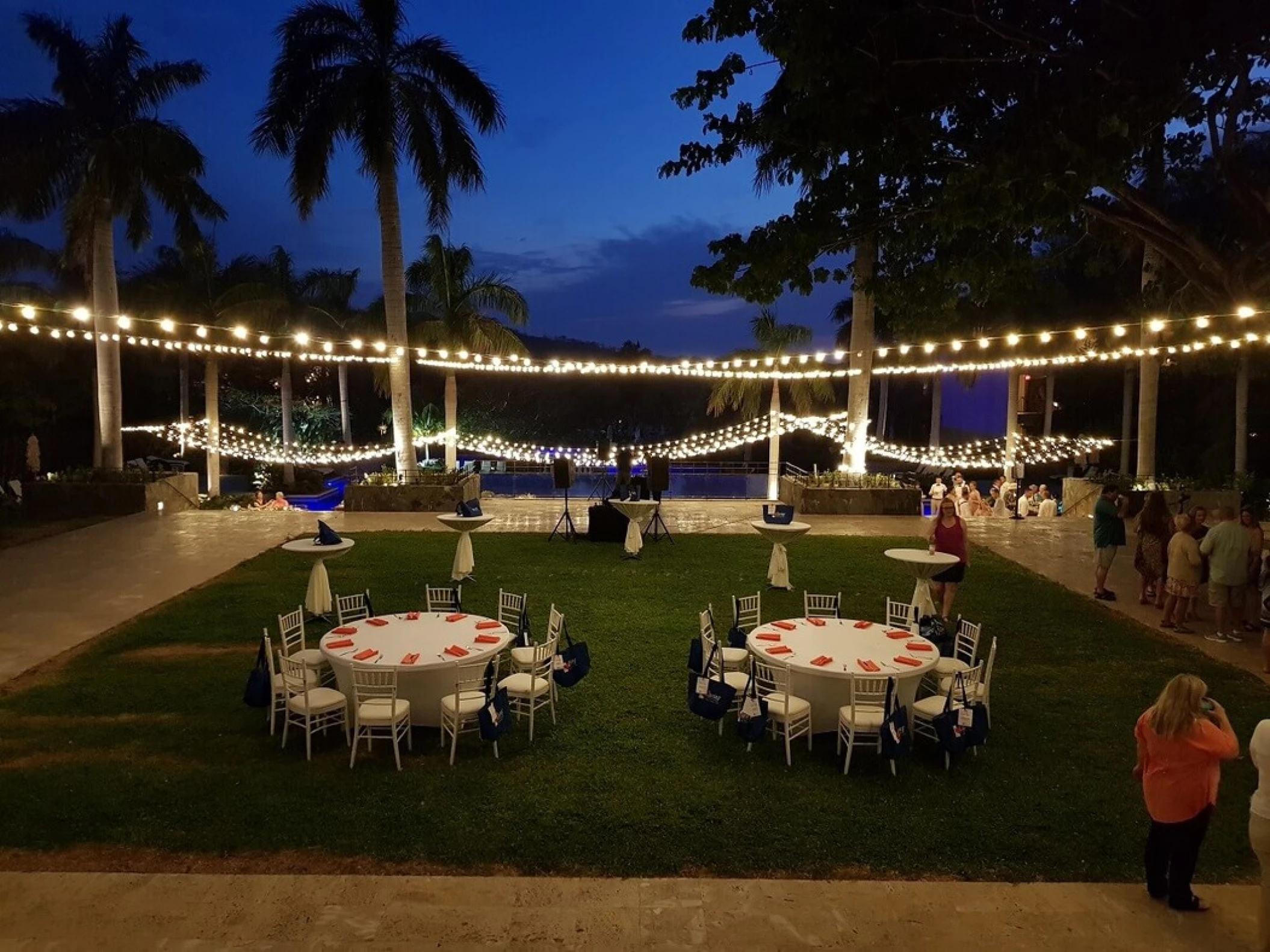 royal palm tree terrace at Dreams Las Mareas