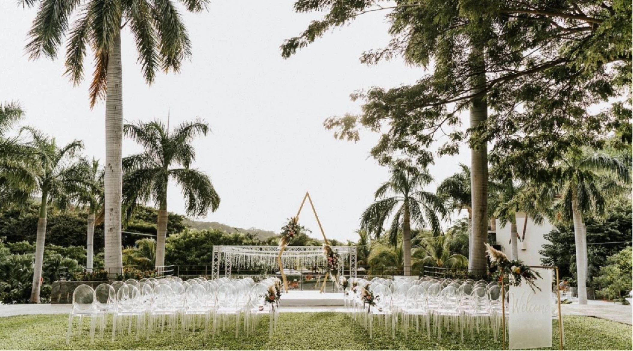 royal palm tree terrace at Dreams Las Mareas