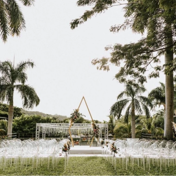 royal palm tree terrace at Dreams Las Mareas