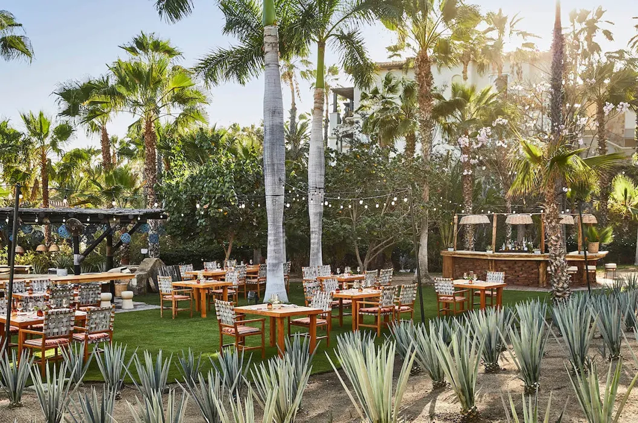 Dinner reception on the agave garden at Esperanza Cabo San Lucas