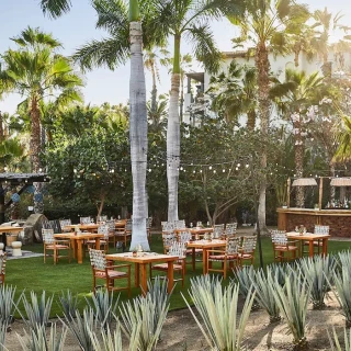 Dinner reception on the agave garden at Esperanza Cabo San Lucas