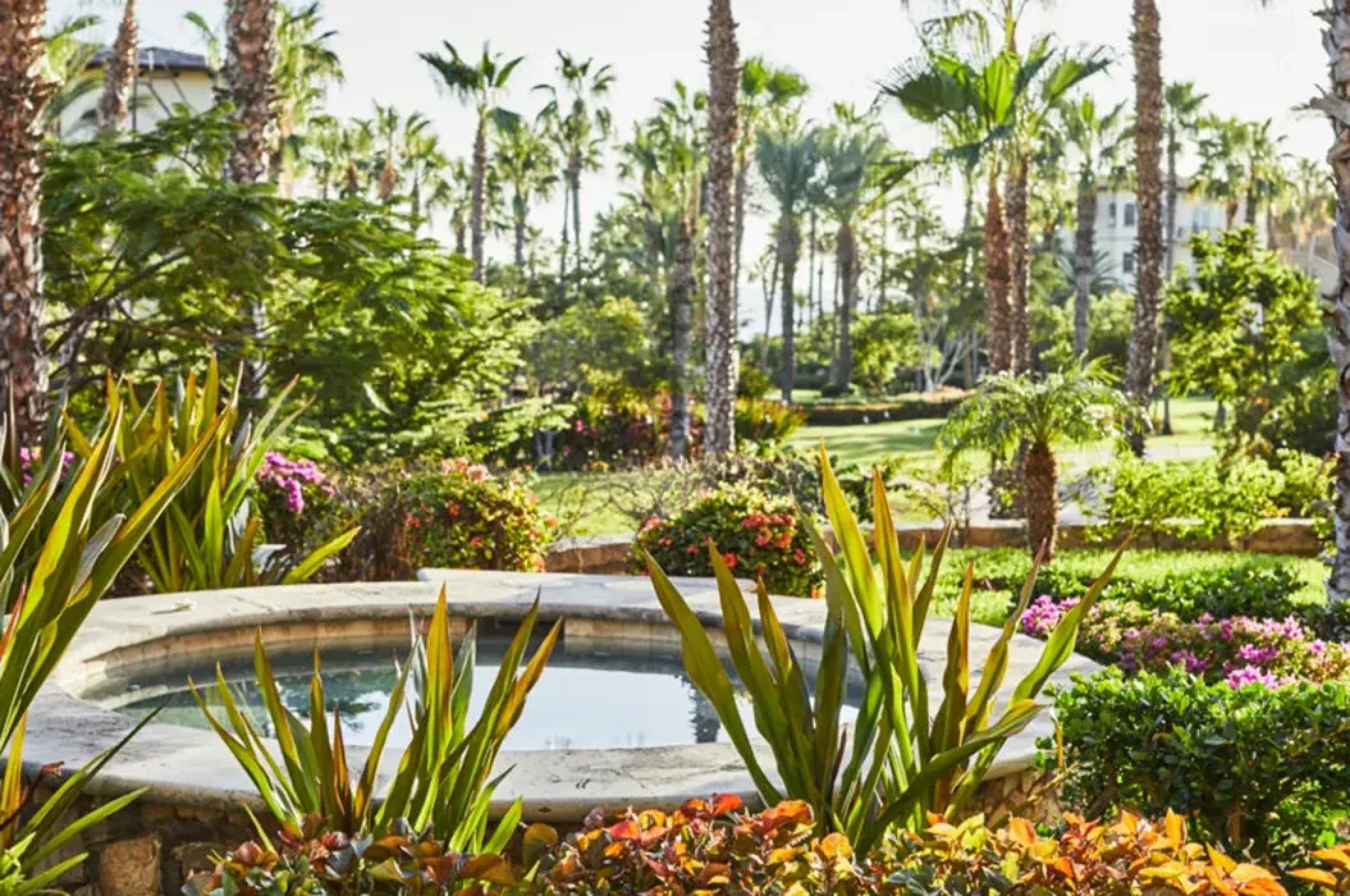 Garden at Esperanza Cabo San Lucas