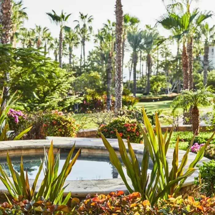 Garden at Esperanza Cabo San Lucas