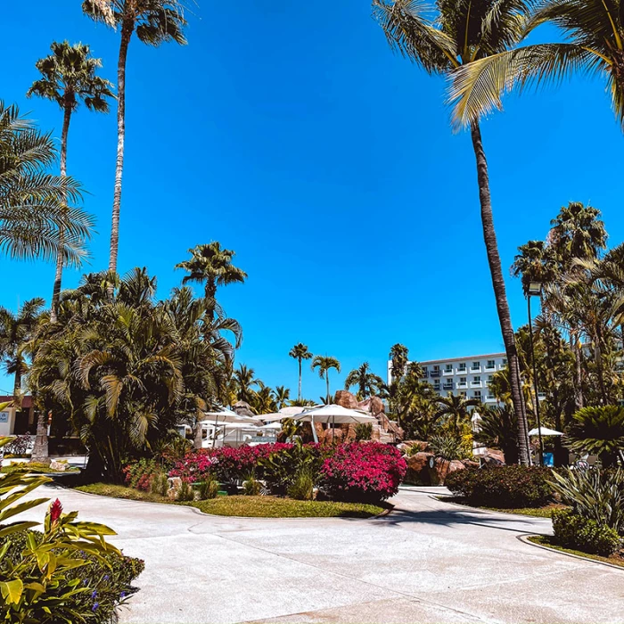 Hard Rock Hotel Vallarta Gardens.