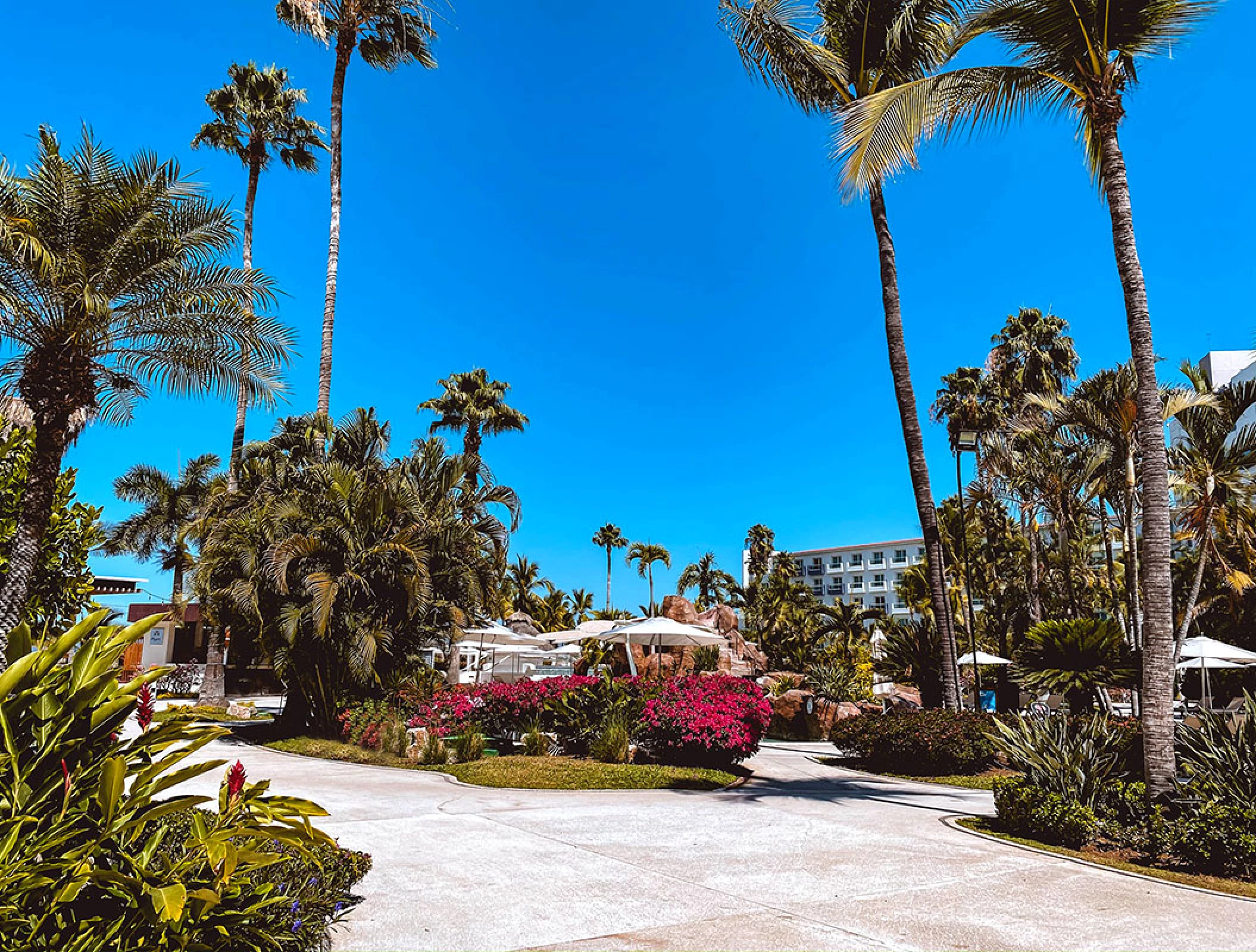 Hard Rock Hotel Vallarta Gardens.