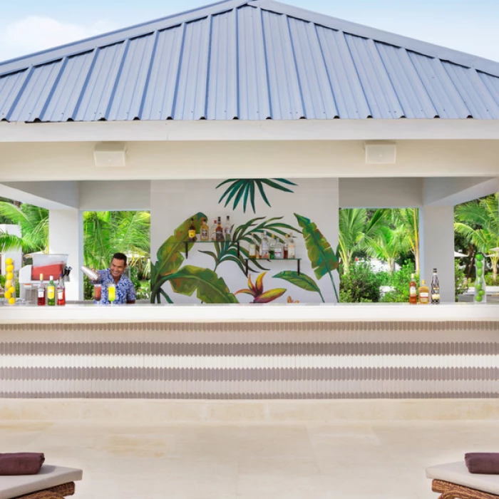 swim-up bar at Hilton La Romana