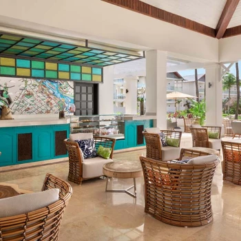 Coffee tree at Hilton La Romana, an All Inclusive Adult Resort