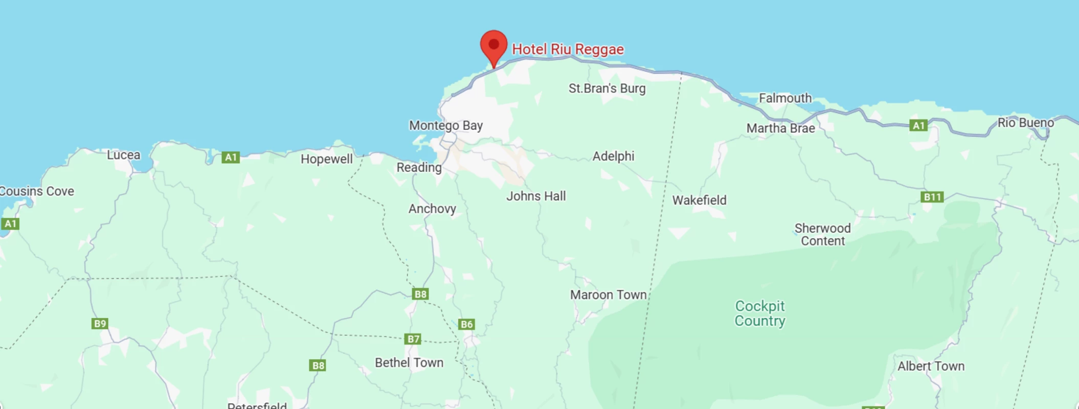 map showing location of Hotel Riu Reggae in Jamaica