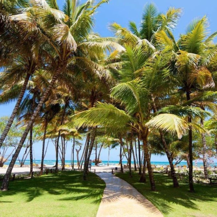 athway to the beach at Iberostar Waves Costa Dorada