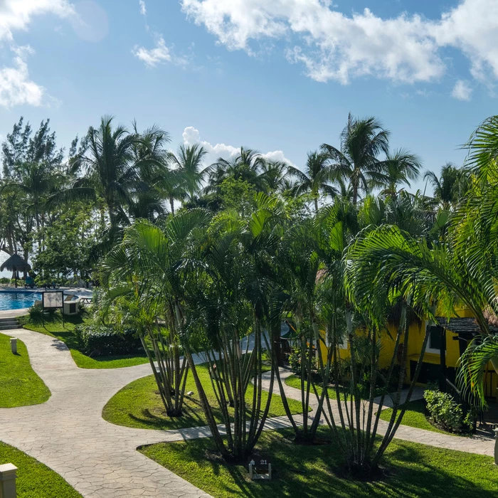 gardens at Iberostar Waves Cozumel