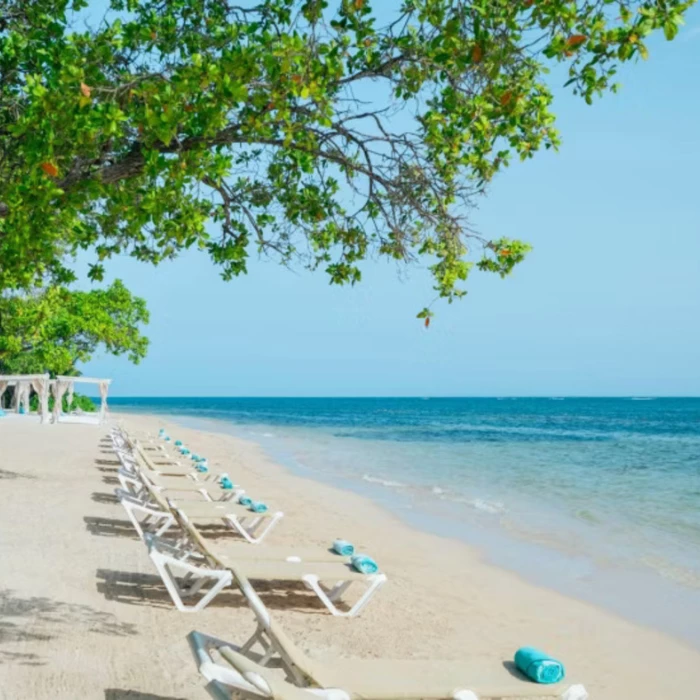 beach loungers at Iberostar Waves Rose Hall Beach