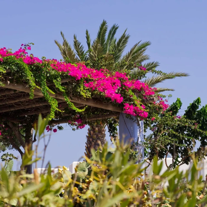 Garden Pergola venue at JOIA Rose Hall by Iberostar