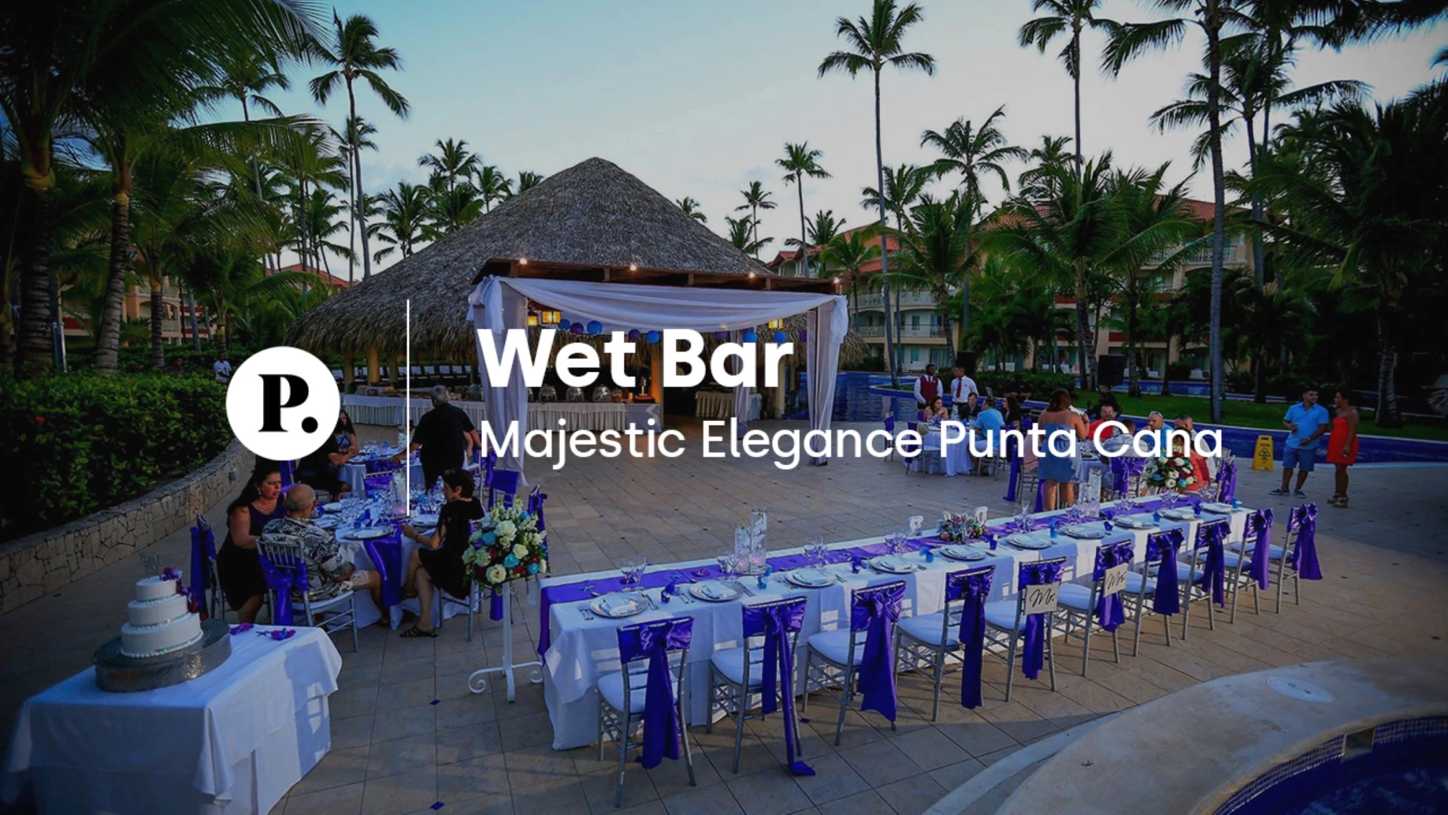 video review of the wet bar venue at Majestic Elegance Punta Cana