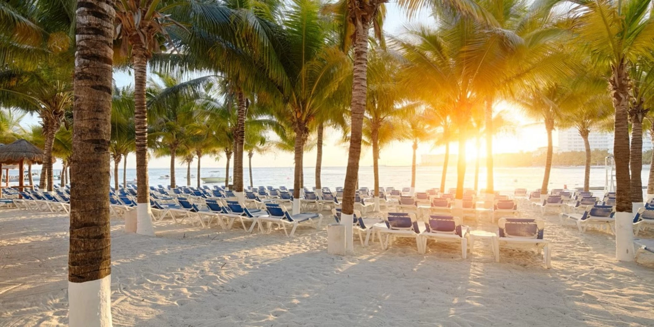 sunrise over the sea and beach at Occidental Costa Cancun