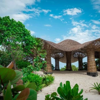 Mushroom venue at Palmaia the house of AiA