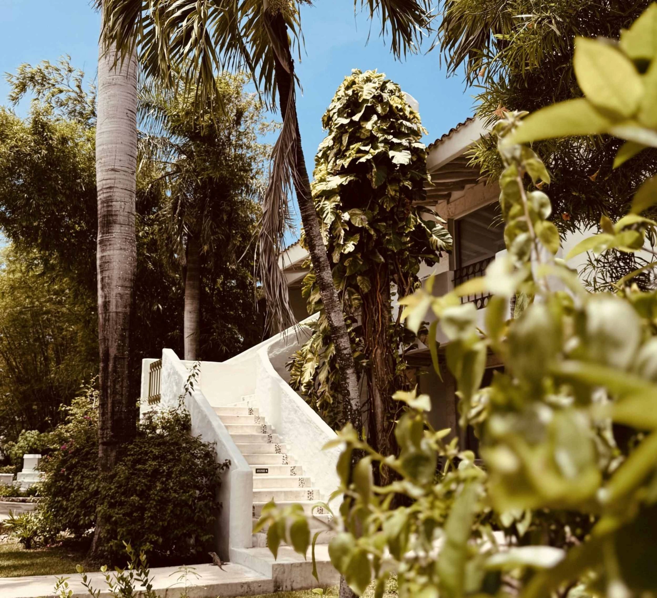 Paraiso de la Bonita Riviera Maya resort grounds