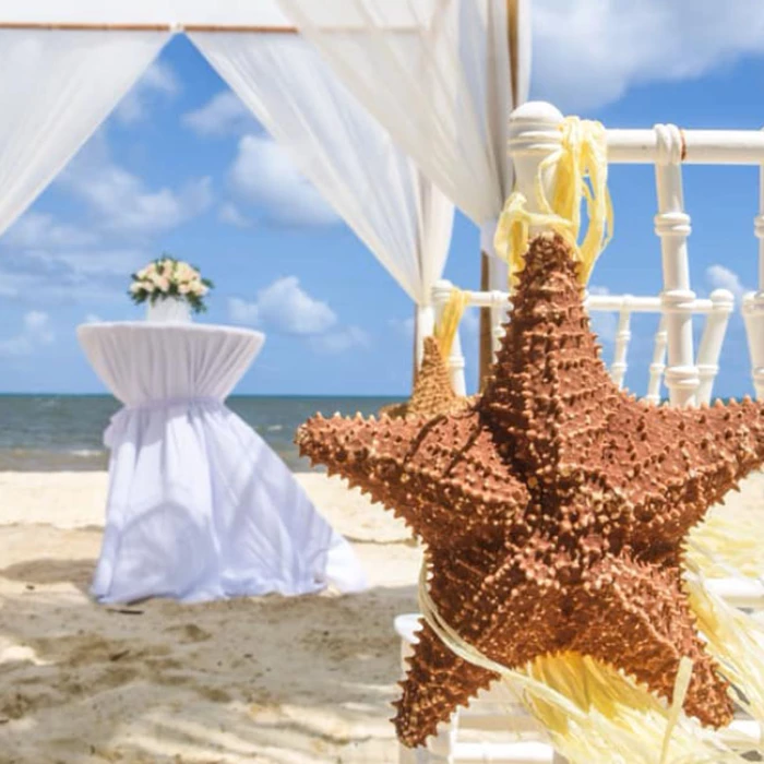 Beach ceremony setup at Royalton Riviera Cancun Resort.