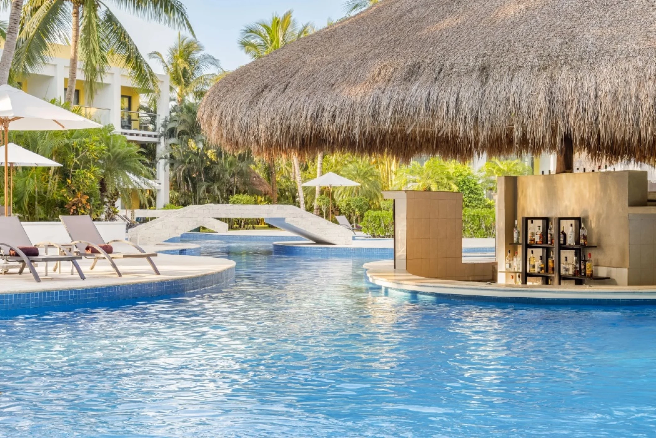 manatees swim up bar at Secrets Aura Cozumel