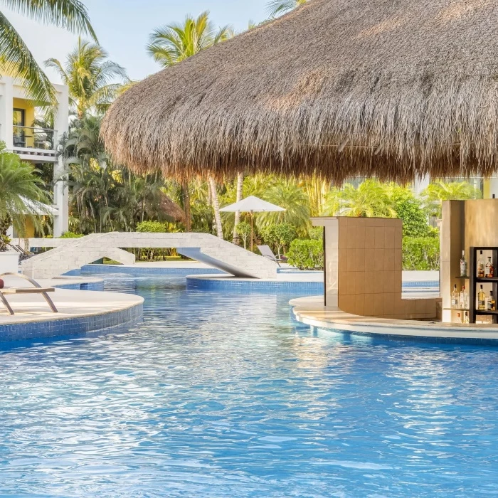 manatees swim up bar at Secrets Aura Cozumel