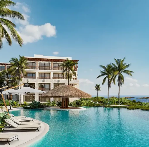 Manatees swim up bar at Secrets Playa Blanca Resort