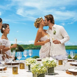 A newly married couple and their guests celebrating with champagne, overlooking a beautiful ocean view.