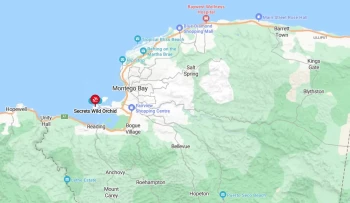 Secrets Wild Orchid Montego Bay location in the map