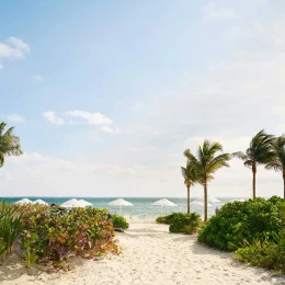 beach at SLS Playa Mujeres