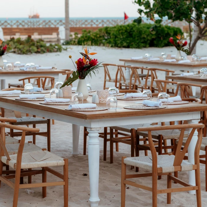 Jungle Beach venue at SLS Playa Mujeres