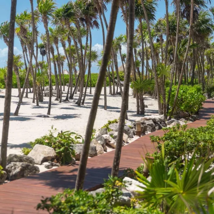 Wood path at Valentin Imperial Riviera Maya