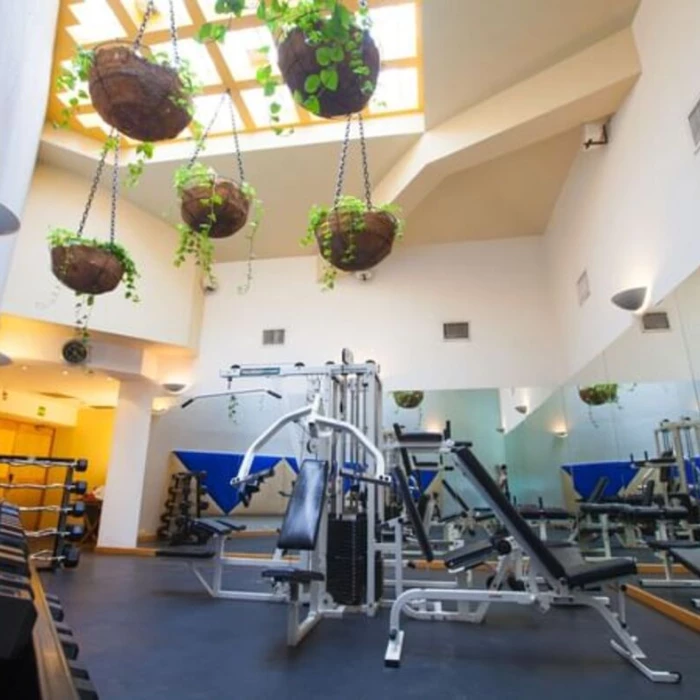 fitness center at Villa Premiere Boutique Hotel