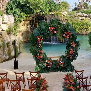 Bar Bio at Xcaret Mexico