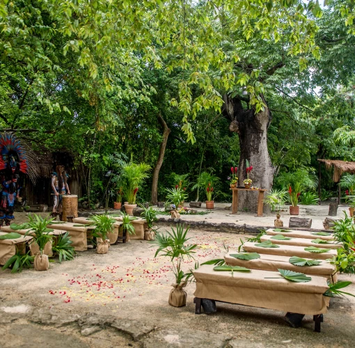 Wedding ceremony on la ceiba wedding venue at Sandos Caracol Eco Resort