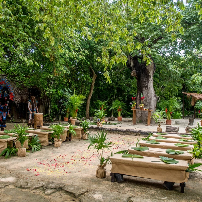 Wedding ceremony on la ceiba wedding venue at Sandos Caracol Eco Resort