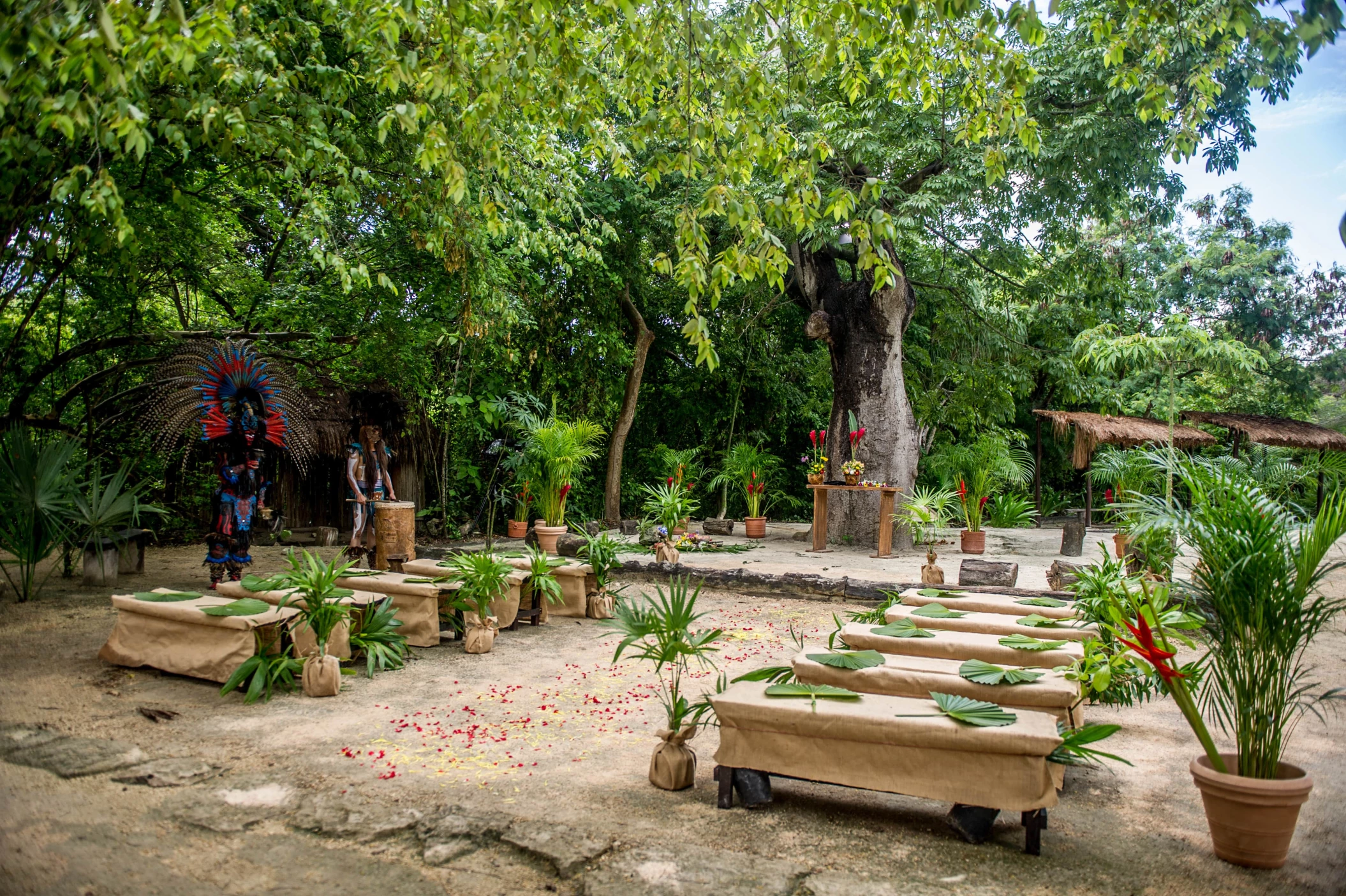 Wedding ceremony on la ceiba wedding venue at Sandos Caracol Eco Resort