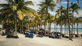 Sandos Playacar beach with palm trees