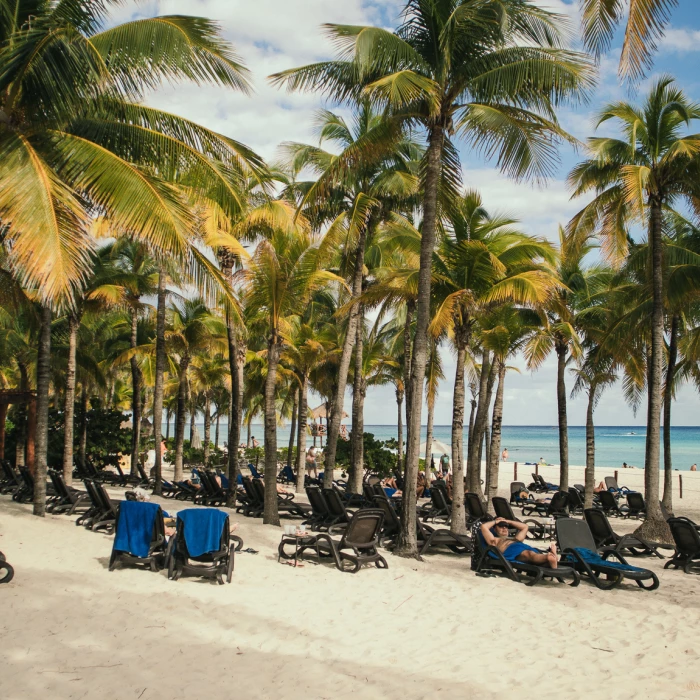 Sandos Playacar beach with palm trees