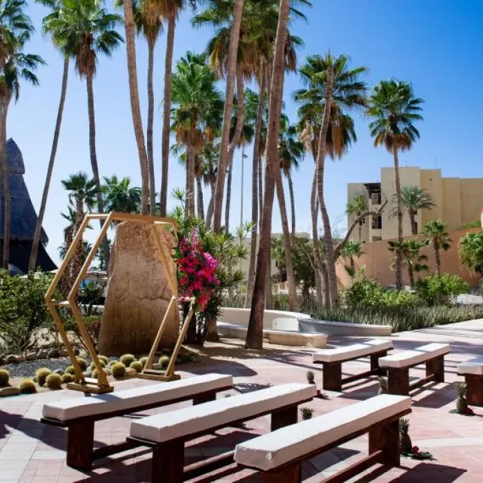 Ceremony decor on the dessert garden at Sandos Finisterra Los Cabos