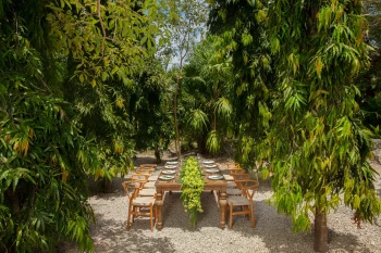Dinner reception on secret garden at Secrets Akumal Riviera Maya